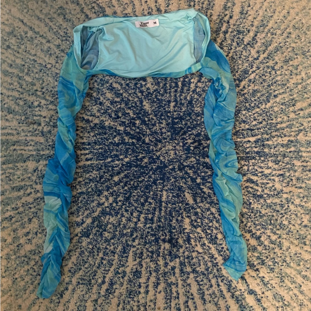 Stas Ruched Mesh Dress - Picture 6 of 8